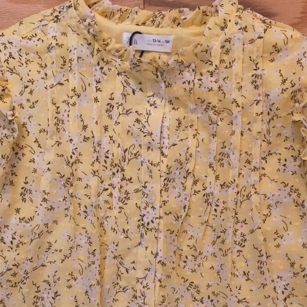 Zara, Button Front Ruffle Dress w/ White Flowers, Size 13/14 (EUC)